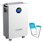 48V 314Ah LiFePO4-accu (16,08 kWh energieopslag) met 200A BMS, stroomonderbreker, RS485/CAN/RS232 en Bluetooth/Wi-Fi – voor noodstroomvoorziening thuis en off-grid zonne-energiesystemen