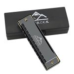 Beste mondharmonica EastRock Harmonika C-majeur Harmonica met box 10-gaten harmonica voor scholieren, gevorderden en beginners (10-gaats zwart)