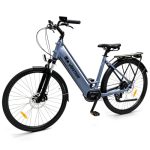 Beste elektrische fiets met middenmotor 250 W elektrische fiets 700C met middenmotor, accu 36 V, 13 Ah (dames)
