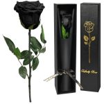 Yamonic Valentijnscadeaus voor haar, geconserveerde echte rozengeschenken voor vrouwen, enkele rode roos met stengel verjaardagscadeau voor vrouwen, eeuwig bloemencadeau voor moeder, cadeaus voor