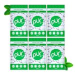 PUR Gum | Suikervrije Kauwgom | Gemaakt met Xylitol | Veganistisch, Aspartaamvrij & Glutenvrij | Natuurlijke Spearmint Smaak Kauwgom, 55 Stuks (Pak van 6)