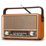 PRUNUS J-120 AM/FM/SW Vintage Radio, Draagbare Oplaadbare Radio met 1800 mAh Batterij of AC Stroomvoorziening, NostalgischeRadio met Bluetooth, Ondersteunt USB/TF/AUX Functies, Geschikt voor Ouderen