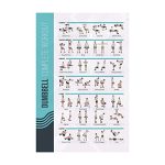 Beste fitness schema FitMate Dumbbell Oefenposter - 28 Unieke Halter Workouts met Illustraties, Gelamineerd en Duurzaam Fitness Schema voor Thuis, Home Gym Decor en Krachttraining (42 x 63 cm)