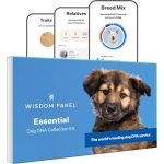 Wisdom Panel Essential DNA-test voor honden voor voorouders, rassen, eigenschappen en gezondheidstests