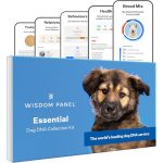 Beste DNA test hond Wisdom Panel Essentieel: meest nauwkeurige DNA-testkit voor honden voor ras-ID en voorouders | 25+ genetische gezondheidsproblemen | eigenschappen | familieleden, wit, 75 g (pak van 1)